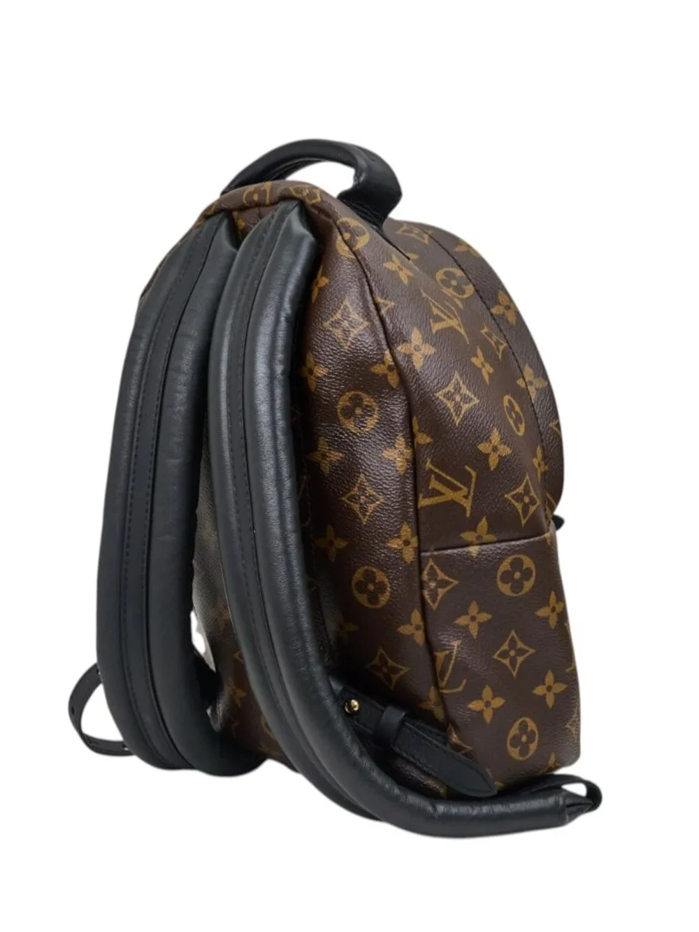 Louis Vuitton Palm Springs PM Monogram